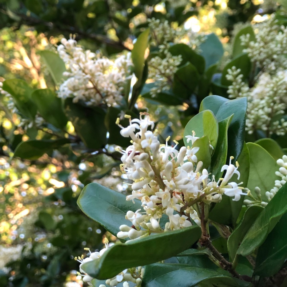 Meet your Posher, Ethan